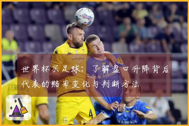 世界杯买足球：了解盘口升降背后代表的赔率变化与判断方法