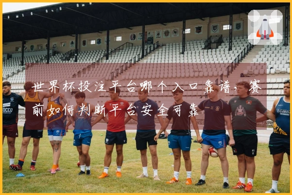 世界杯投注平台哪个入口靠谱，赛前如何判断平台安全可靠
