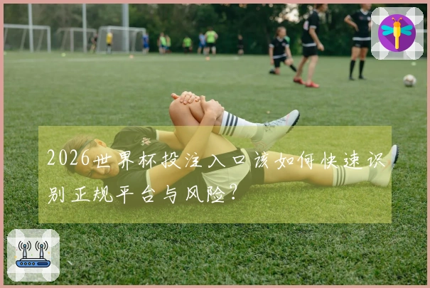 2026世界杯投注入口该如何快速识别正规平台与风险？