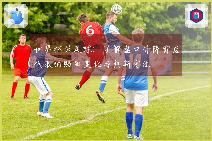 世界杯买足球：了解盘口升降背后代表的赔率变化与判断方法